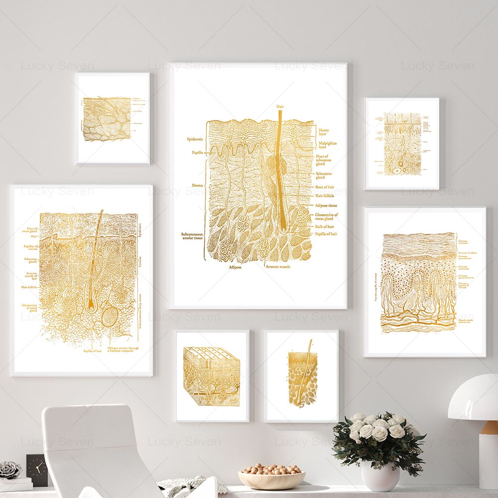 (2D canvas painting)  Skin Car - Skincare Ls 评论和价格